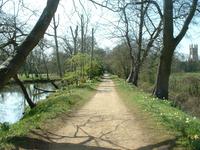 Photo of Addison's Walk in Magdalen