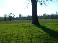 Photo of Magdalen the Meadow with the Fritillaries